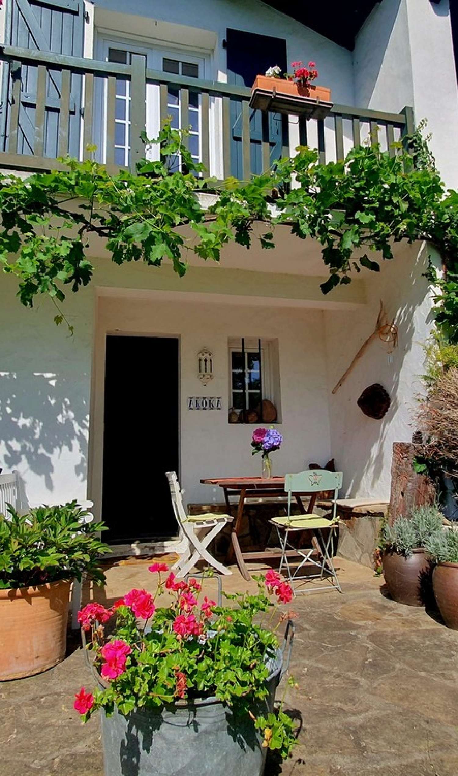  te koop huis Sare Pyrénées-Atlantiques 5