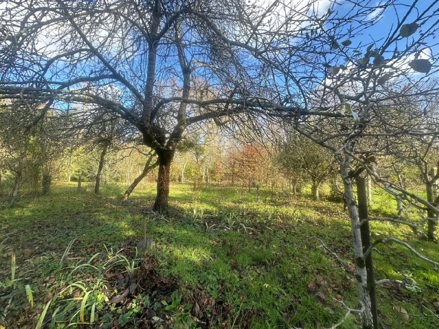 à vendre maison Saumur Maine-et-Loire 2