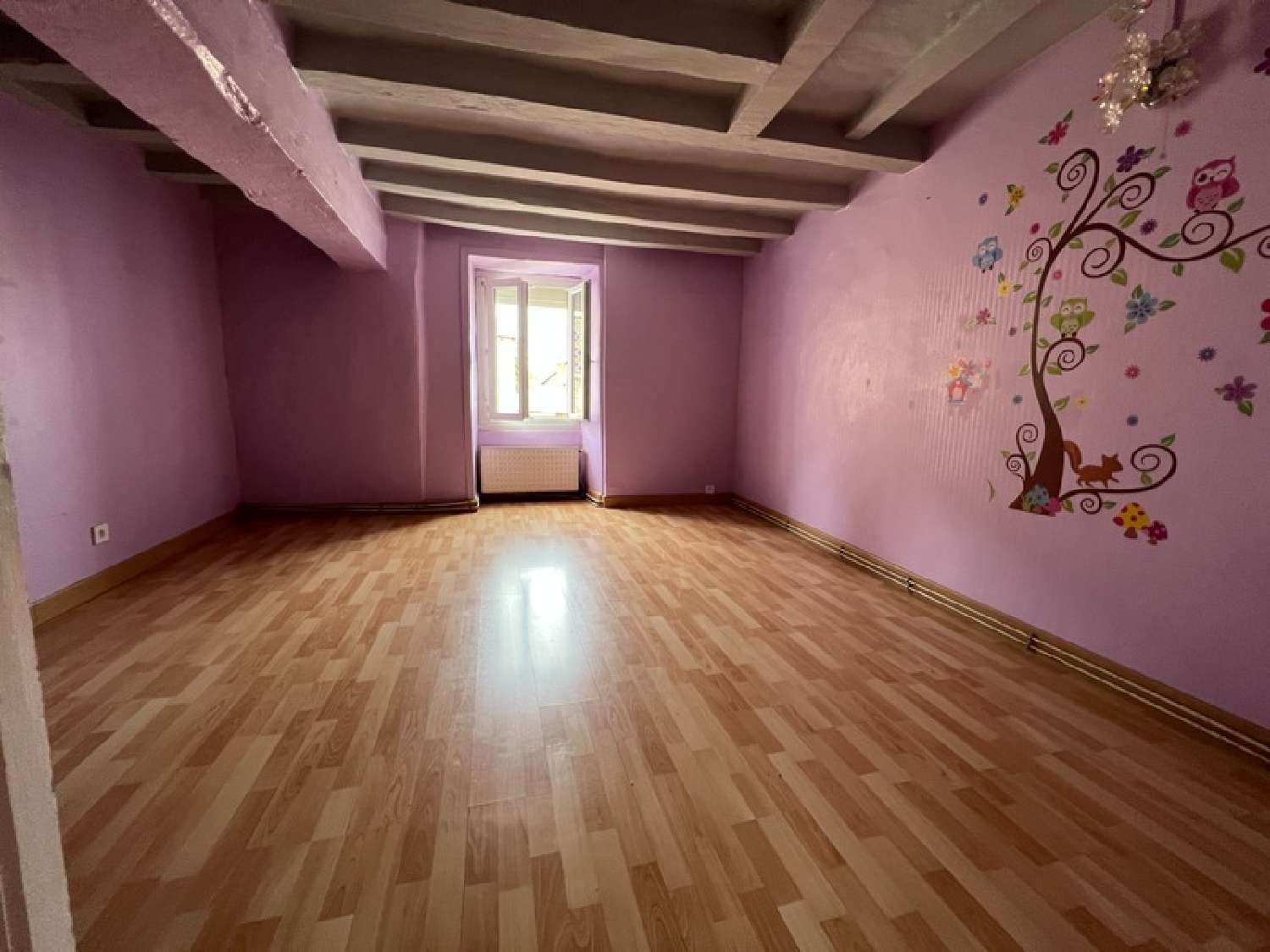  te koop huis Segré Maine-et-Loire 8