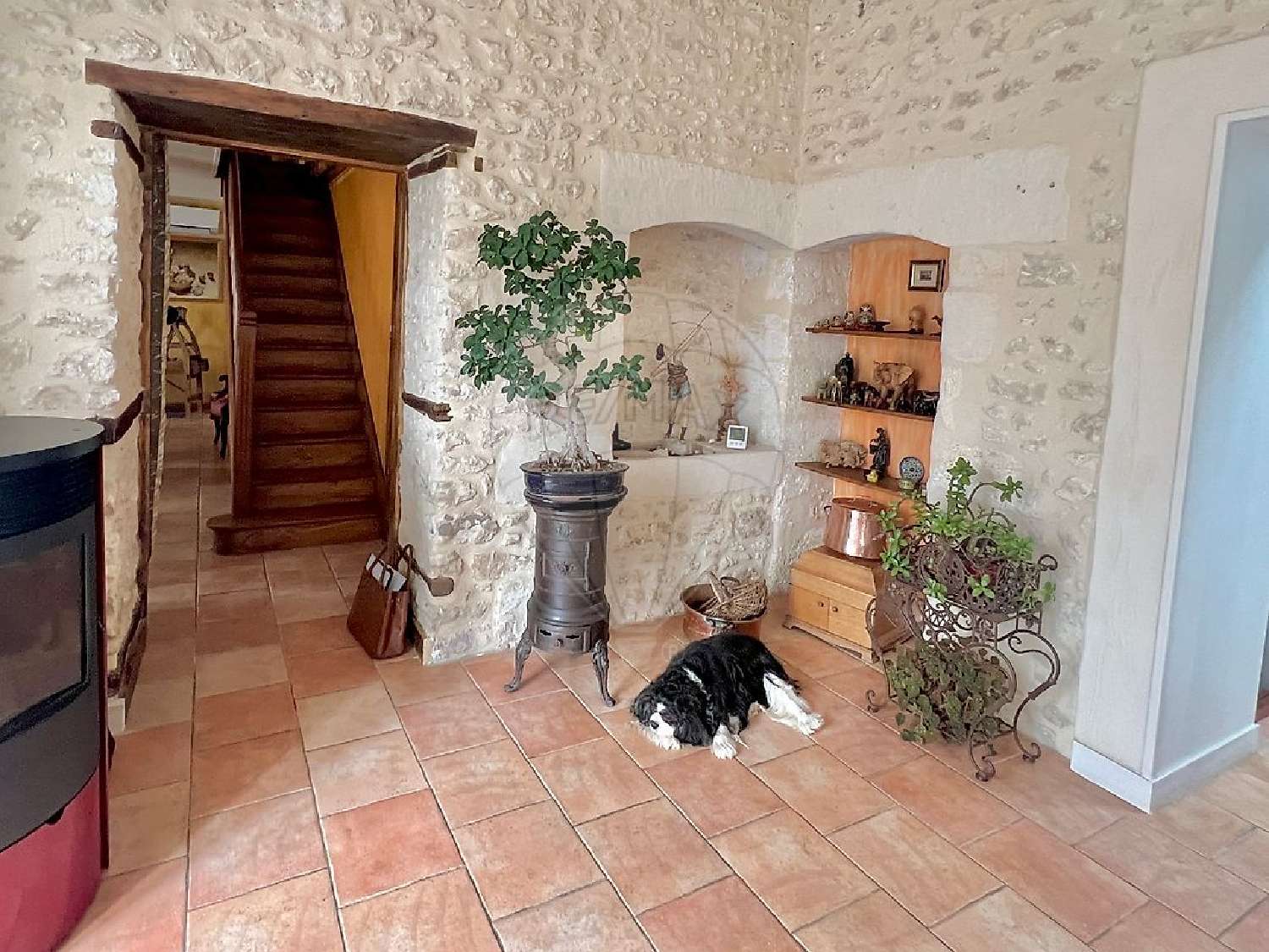 te koop huis Sémussac Charente-Maritime 4