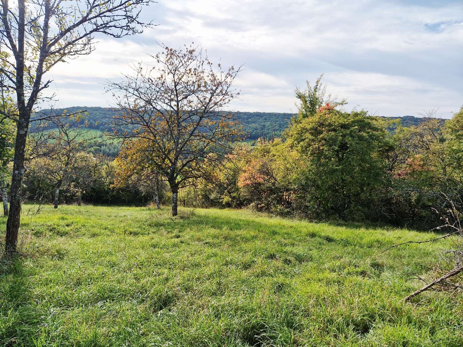 te koop huis Serqueux Haute-Marne 6