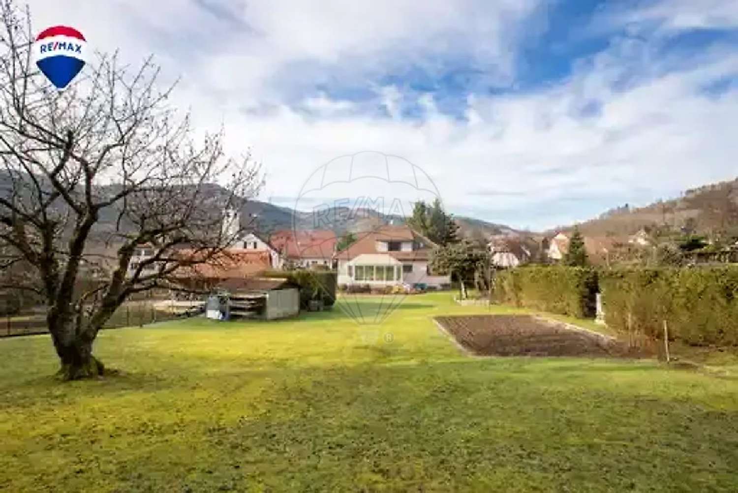  à vendre maison Sickert Haut-Rhin 3