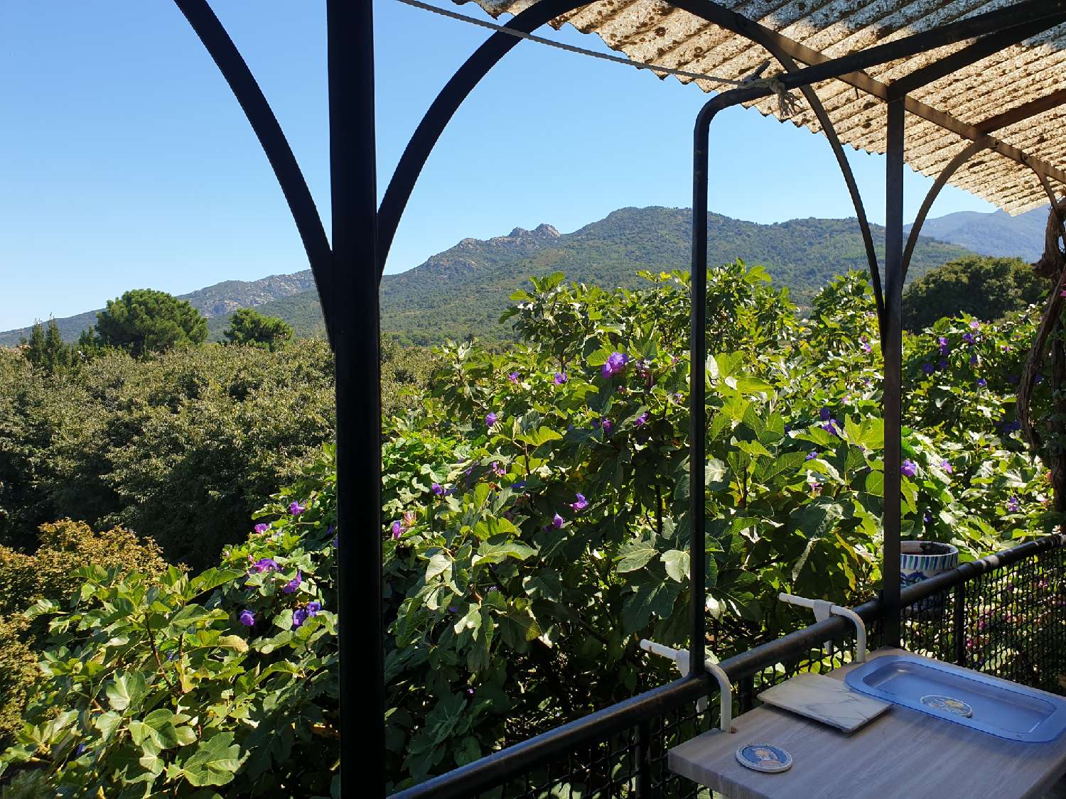 for sale house Sorède Pyrénées-Orientales 2