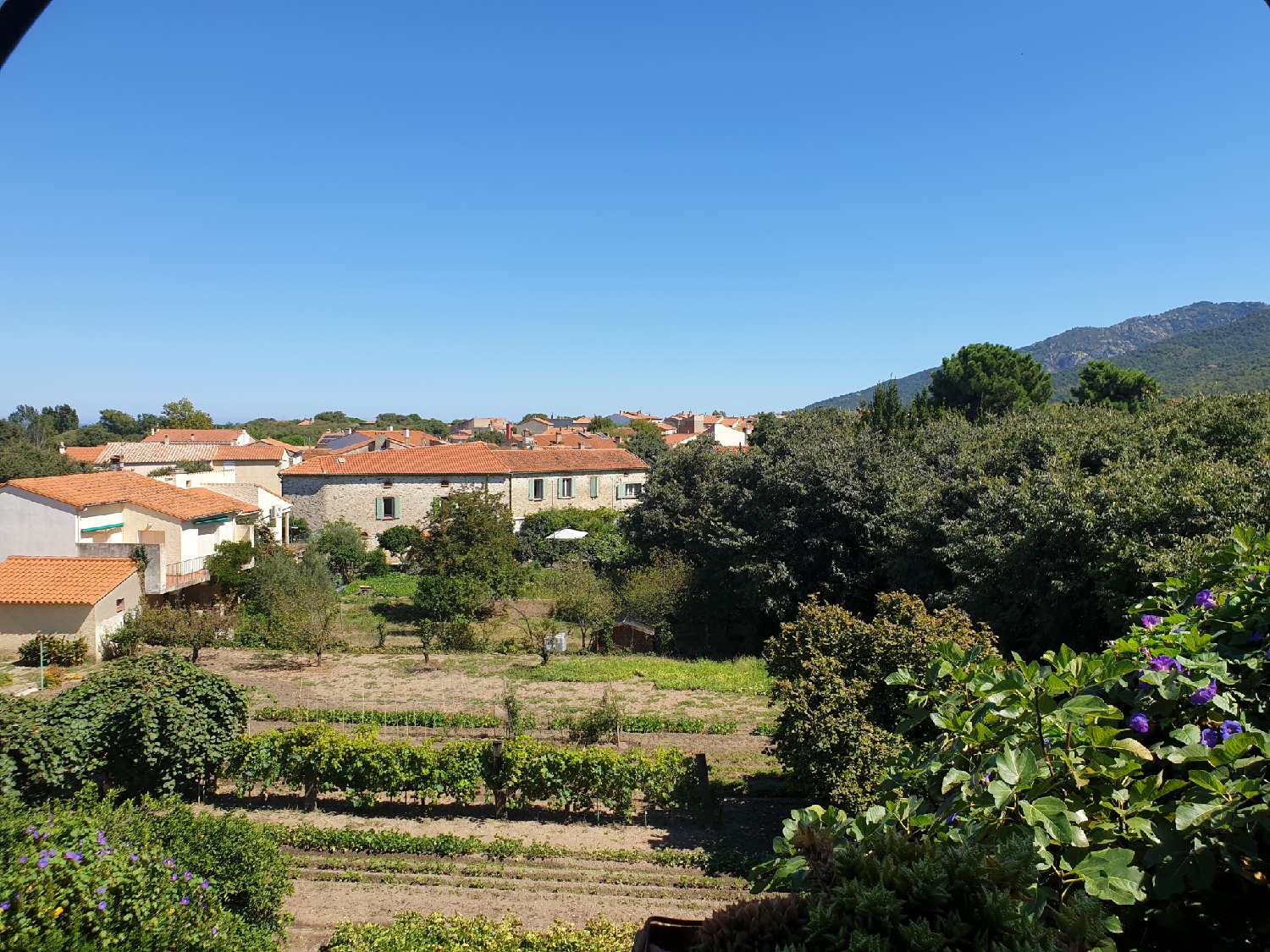 for sale house Sorède Pyrénées-Orientales 4