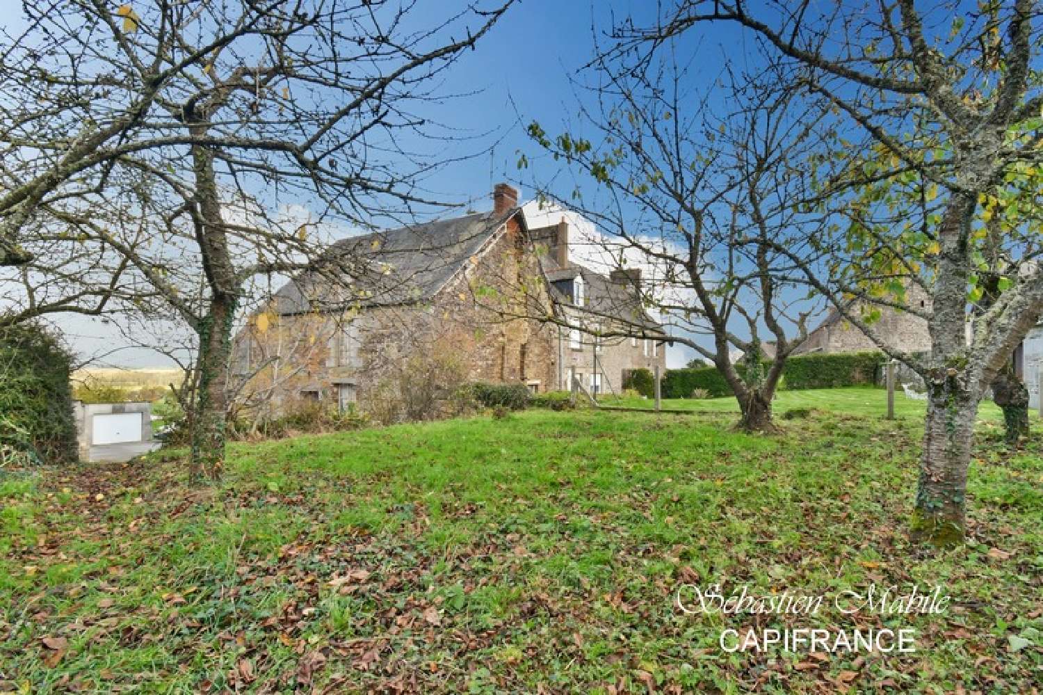 for sale house Sougéal Ille-et-Vilaine 3