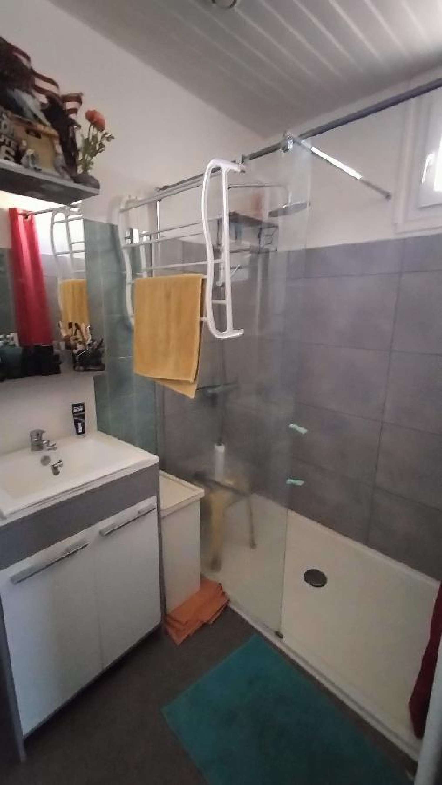 for sale house Surgères Charente-Maritime 4