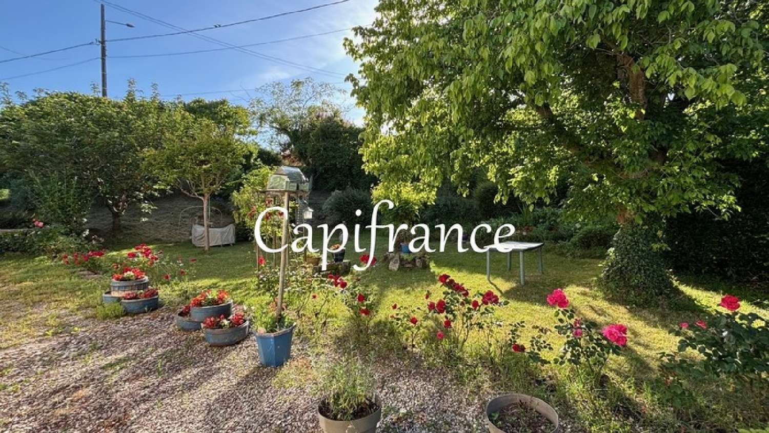 kaufen Haus Taillebourg Charente-Maritime 8