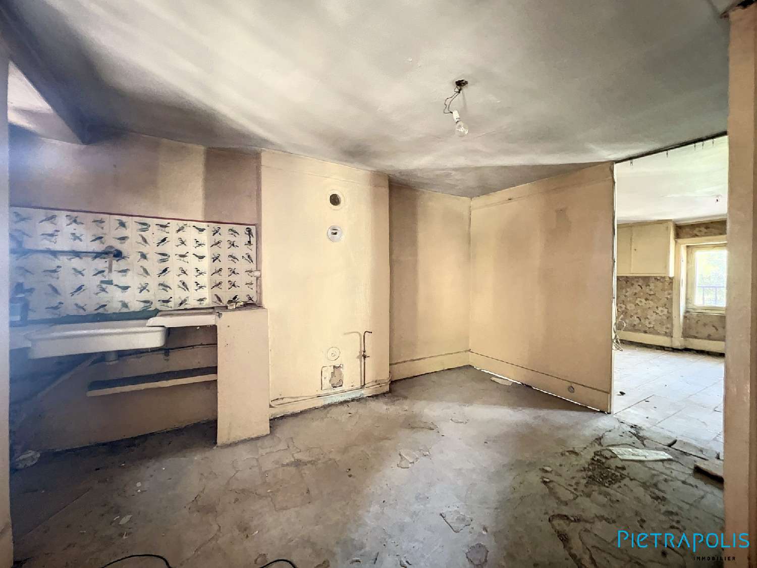 à vendre maison Tarare Rhône 5