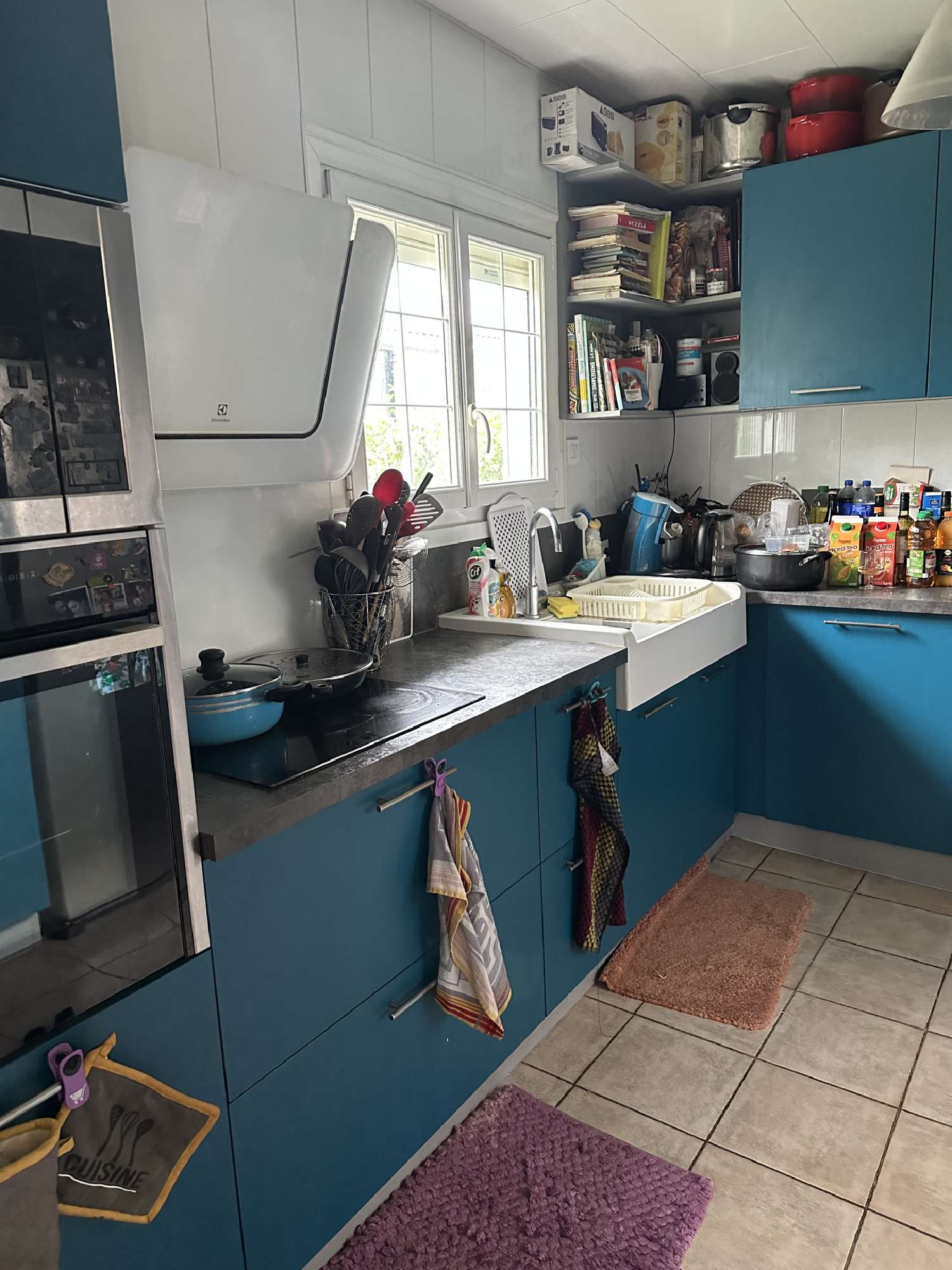  kaufen Haus Thuré Vienne 3