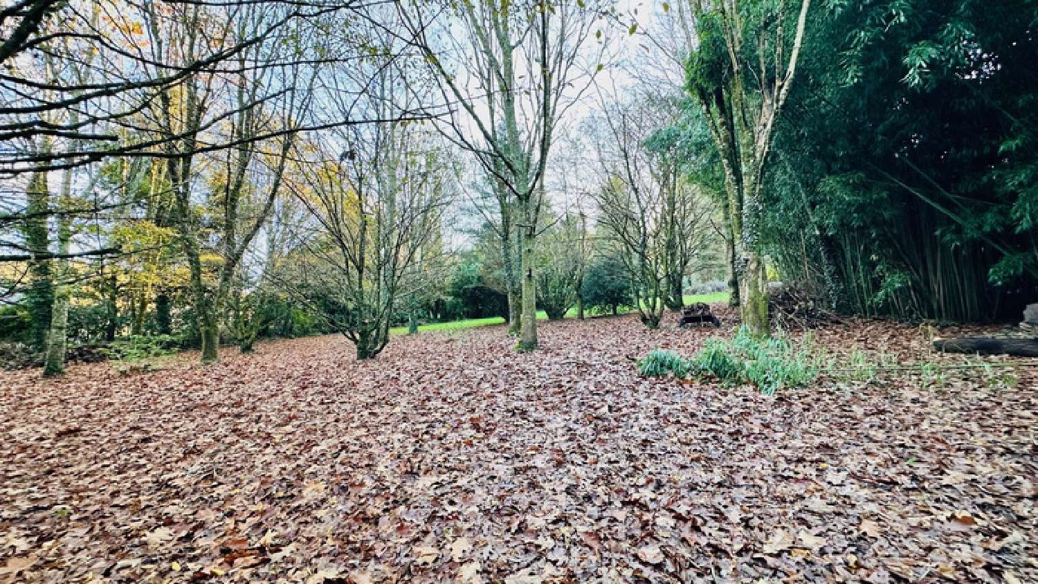 te koop huis Trégarvan Finistère 6