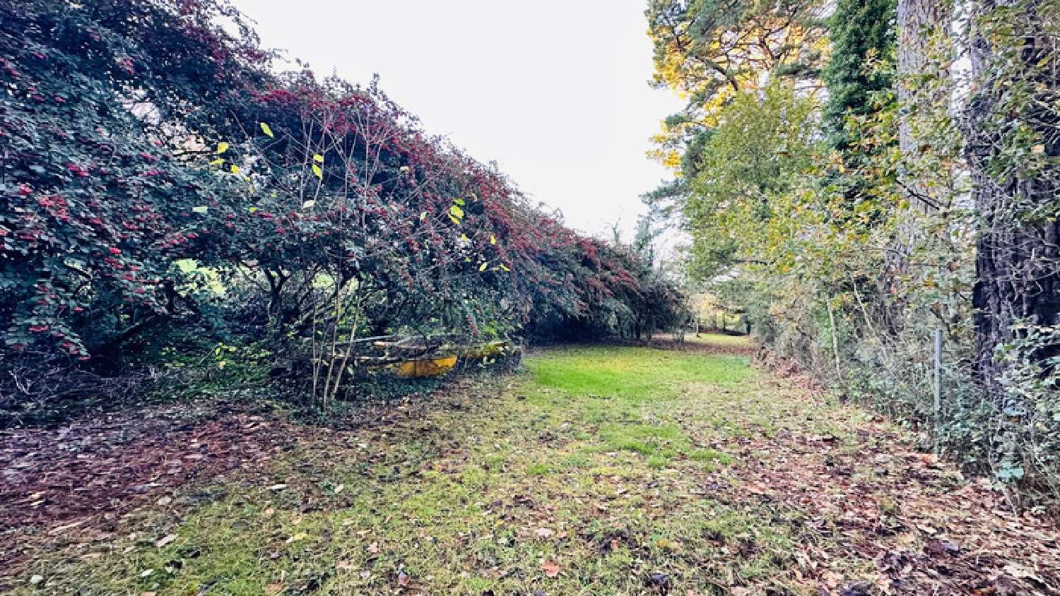 te koop huis Trégarvan Finistère 8