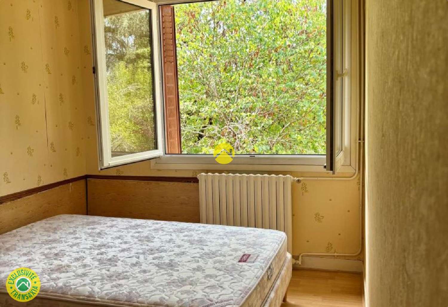  à vendre maison Trémolat Dordogne 5