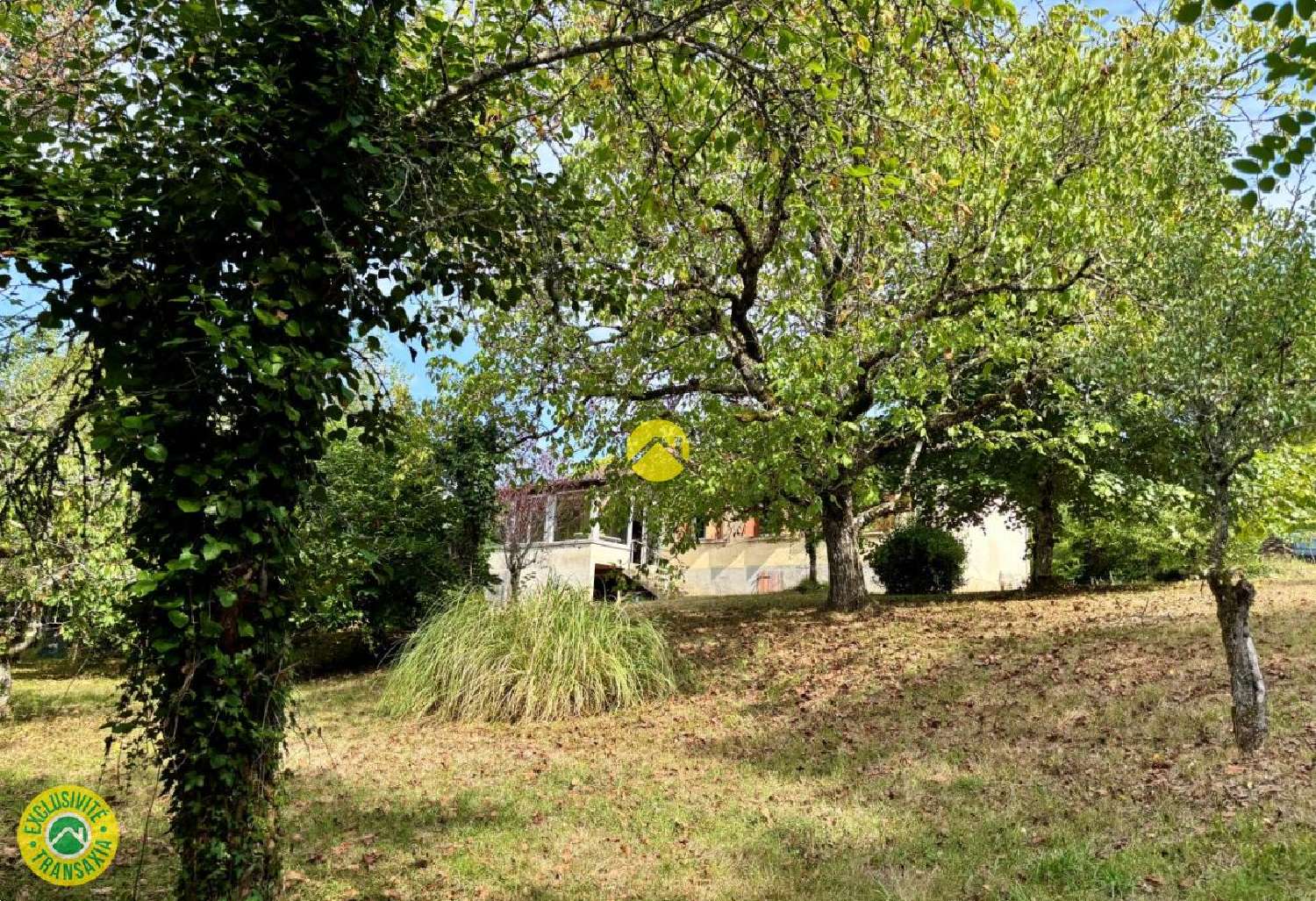  à vendre maison Trémolat Dordogne 8