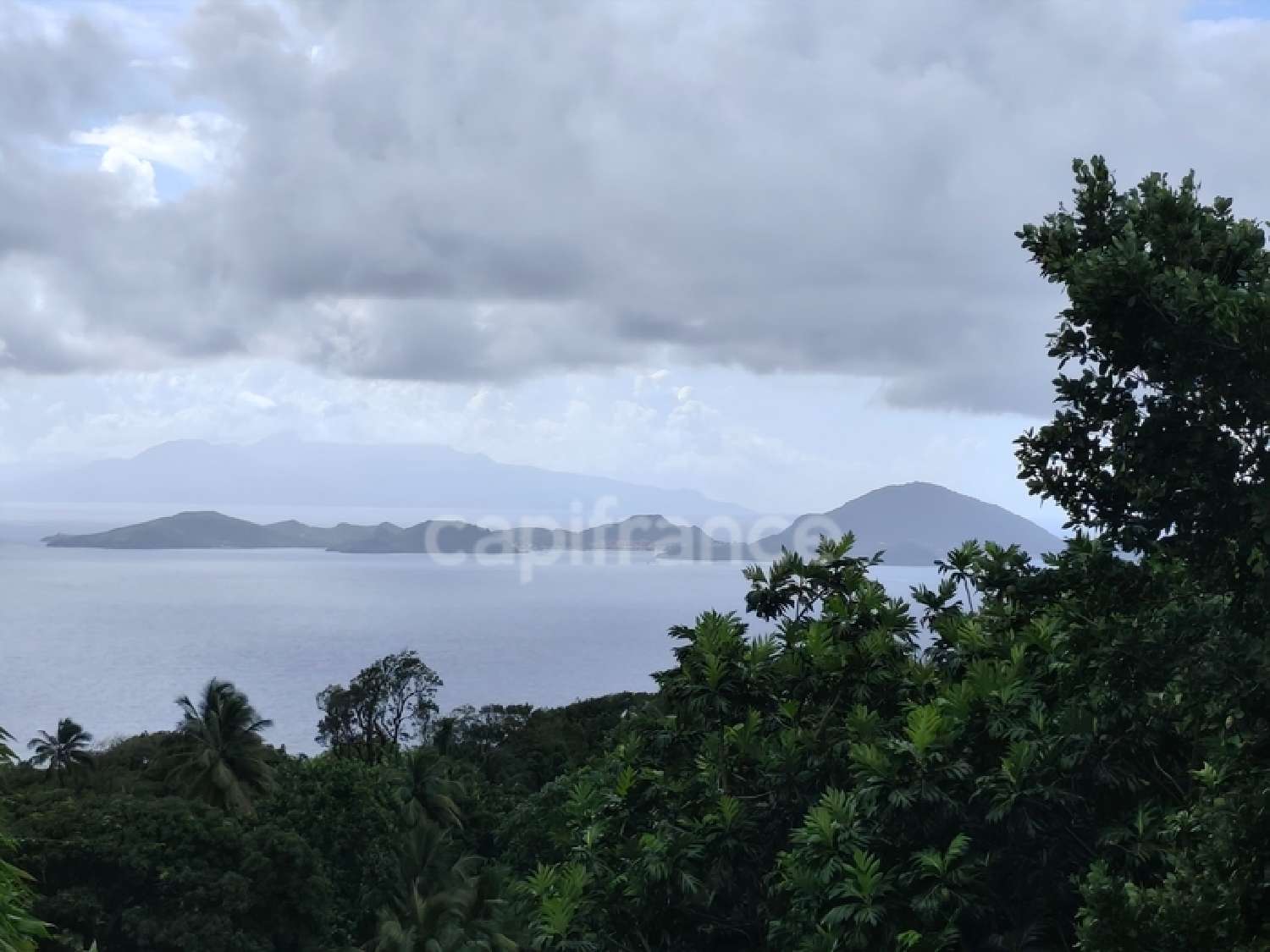 à vendre maison Trois-Rivières Guadeloupe 4