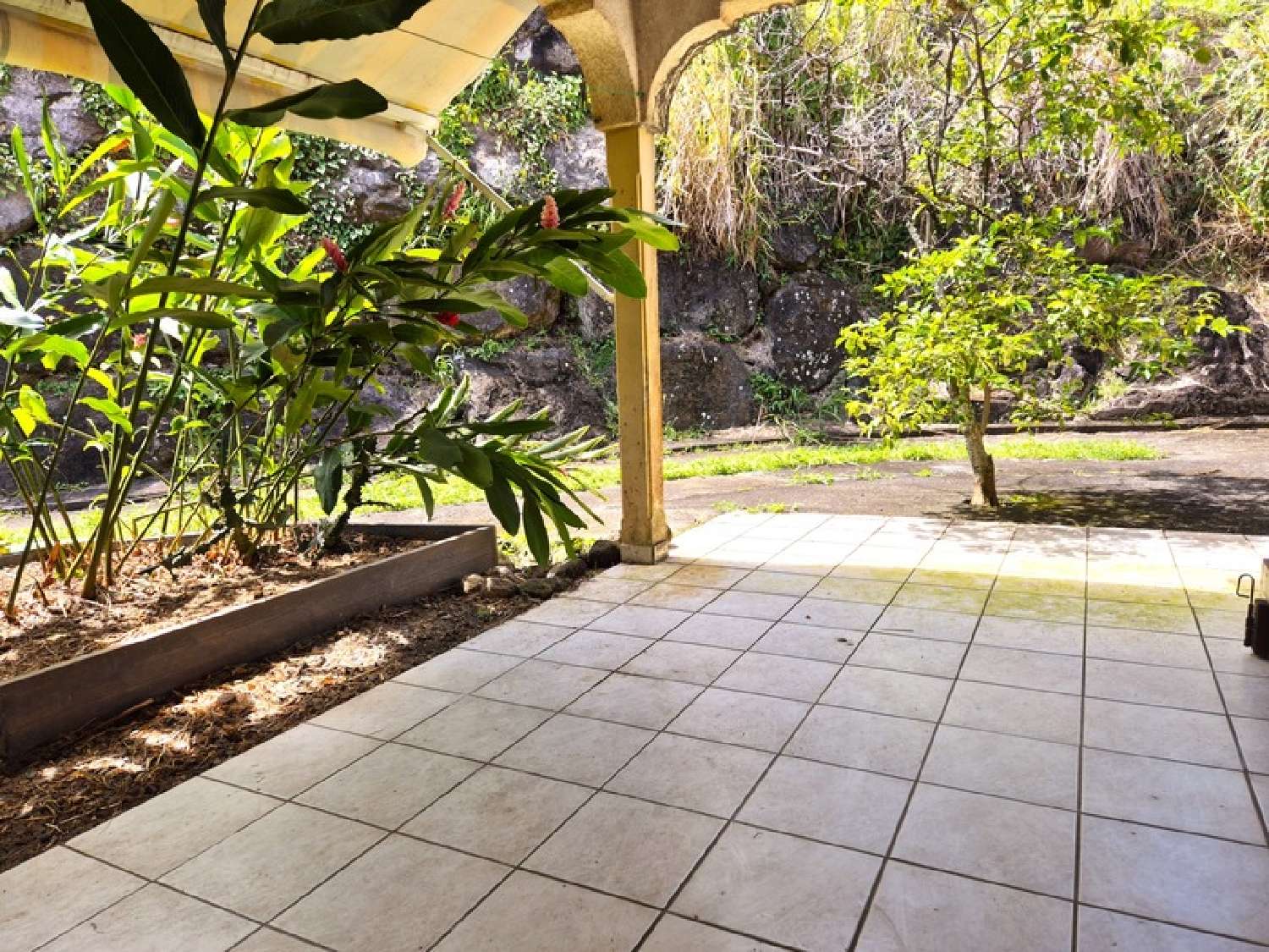 te koop huis Trois-Rivières Guadeloupe 3