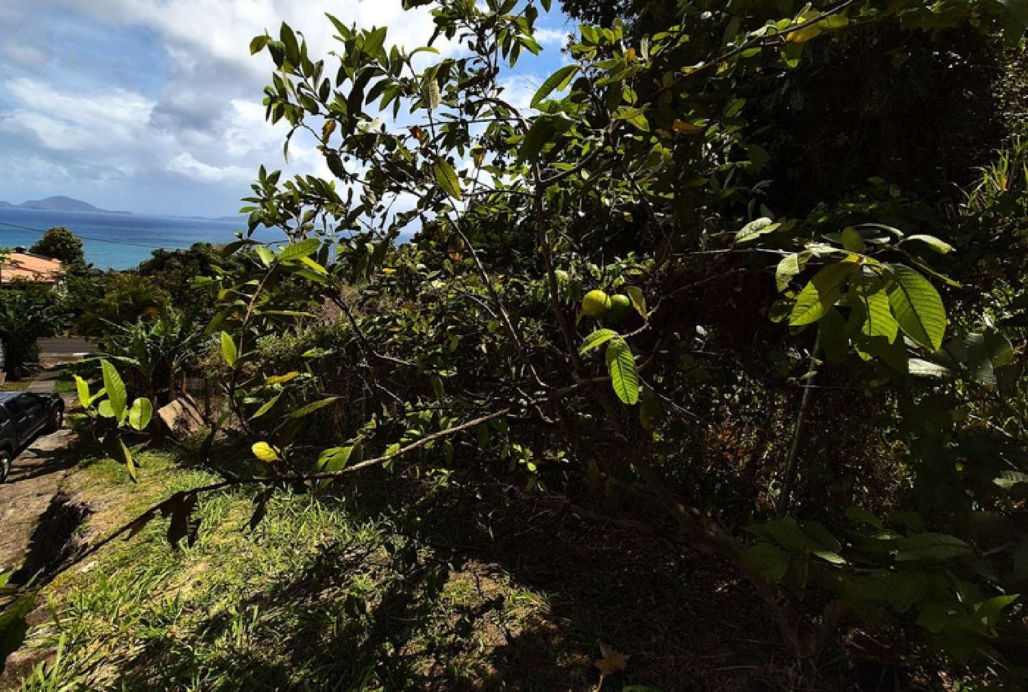te koop huis Trois-Rivières Guadeloupe 8