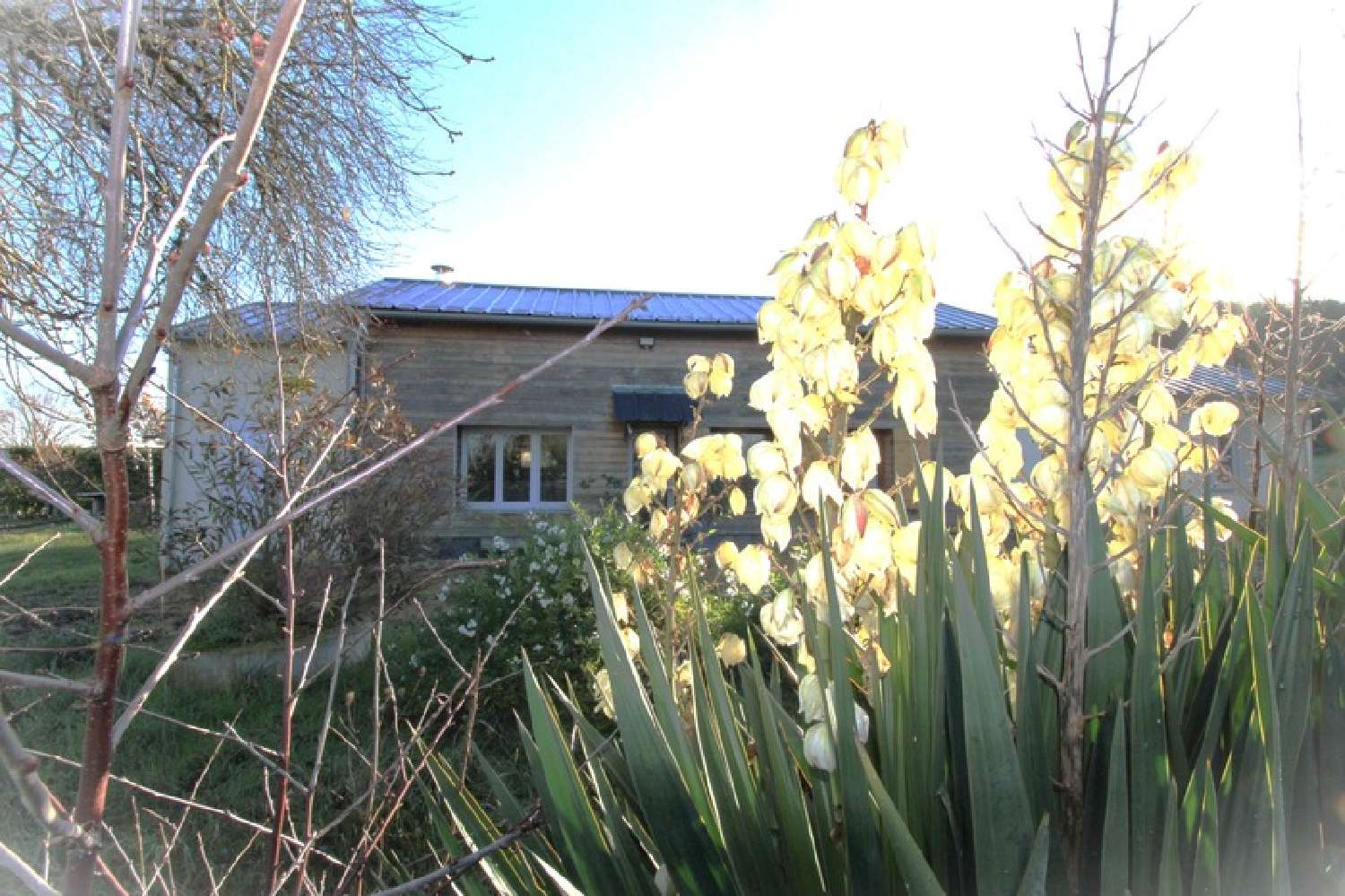  à vendre maison Vernoil Maine-et-Loire 1