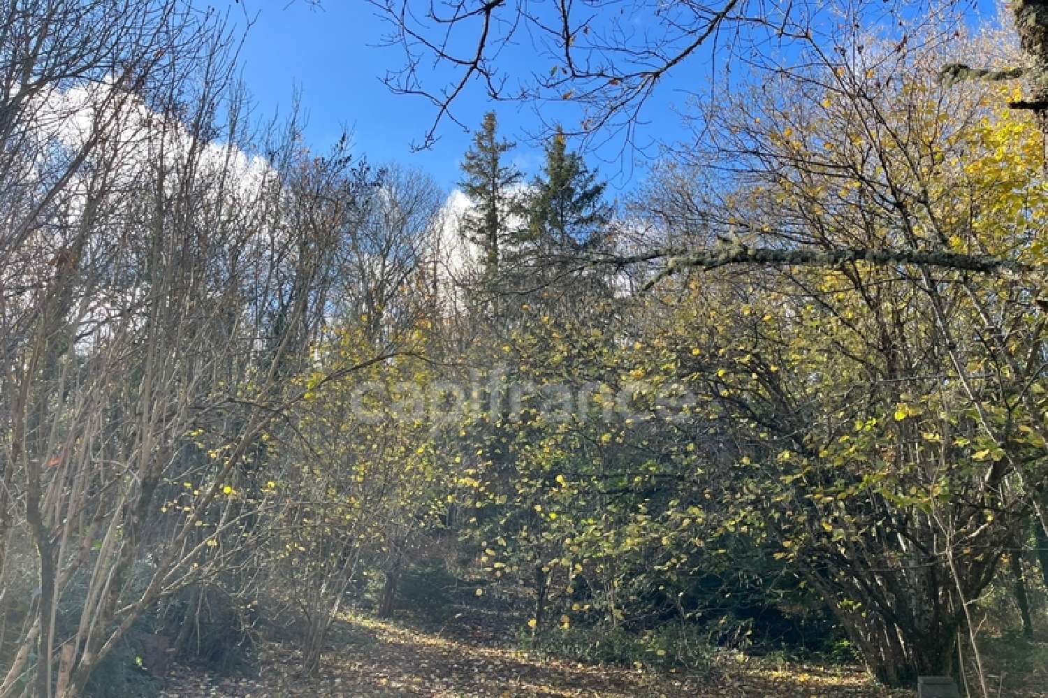 te koop huis Verreries-de-Moussans Hérault 8