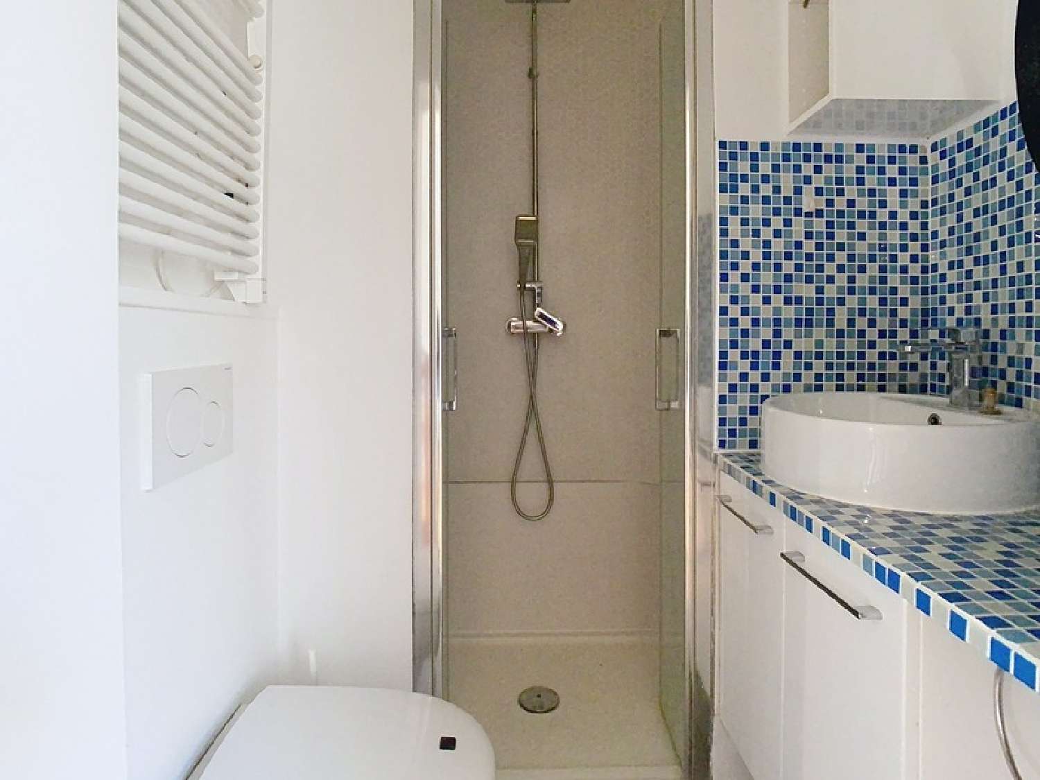 te koop huis Versailles Yvelines 8