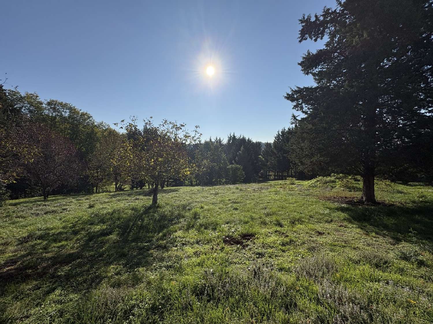  te koop huis Viazac Lot 2