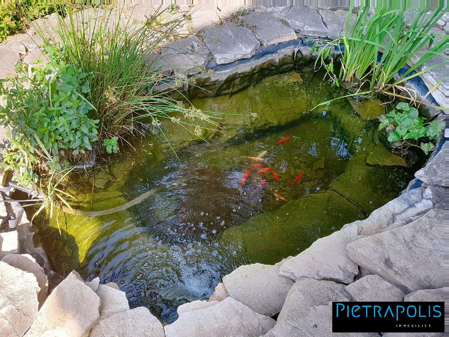 for sale house Vienne Isère 3