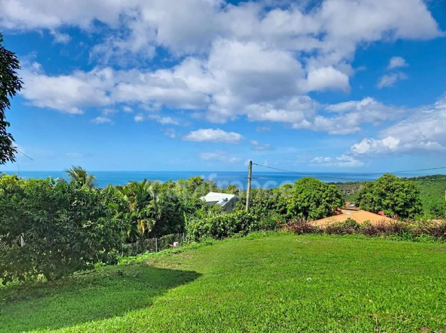  te koop huis Vieux-Habitants Guadeloupe 4