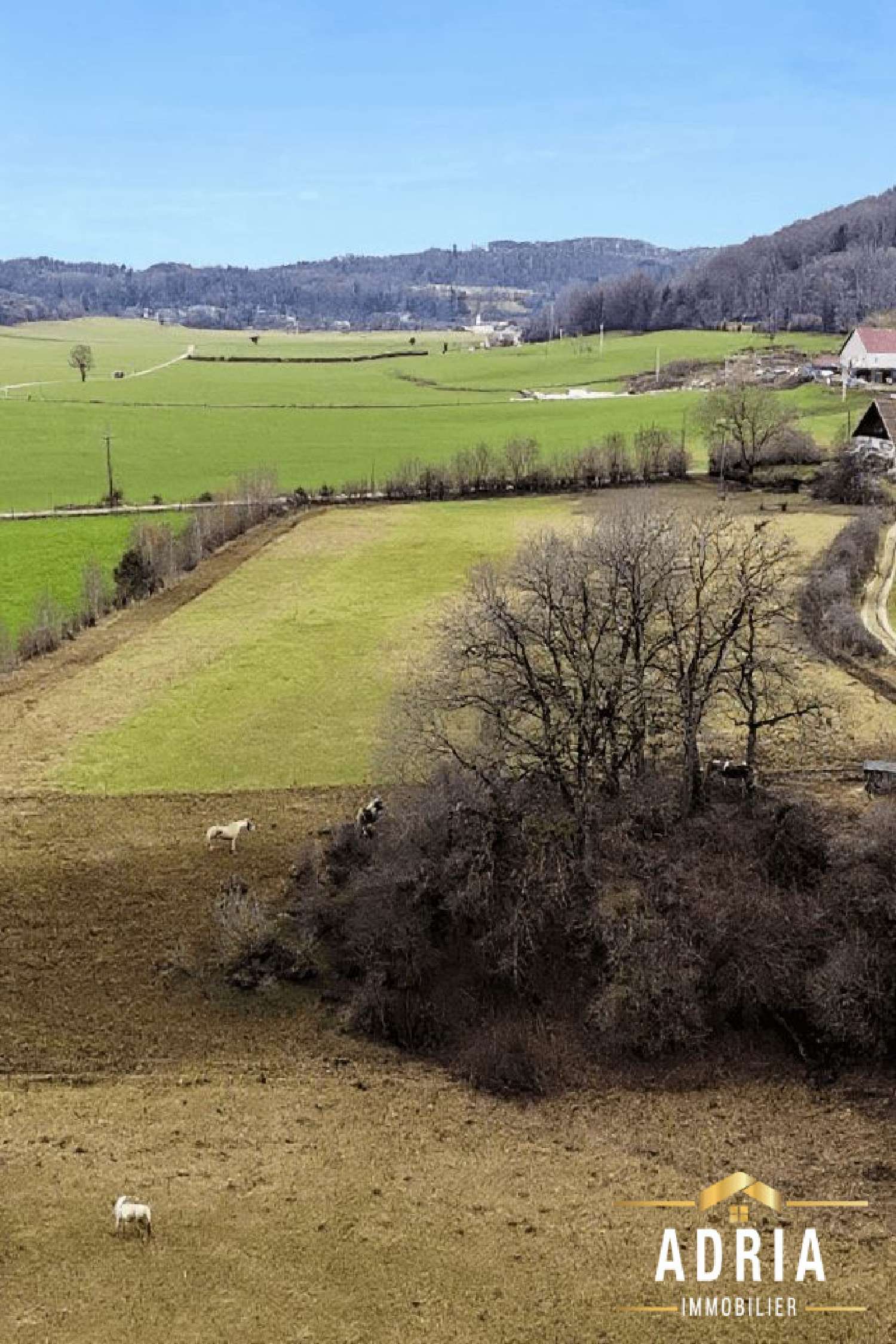 for sale house Villars-sous-Dampjoux Doubs 3