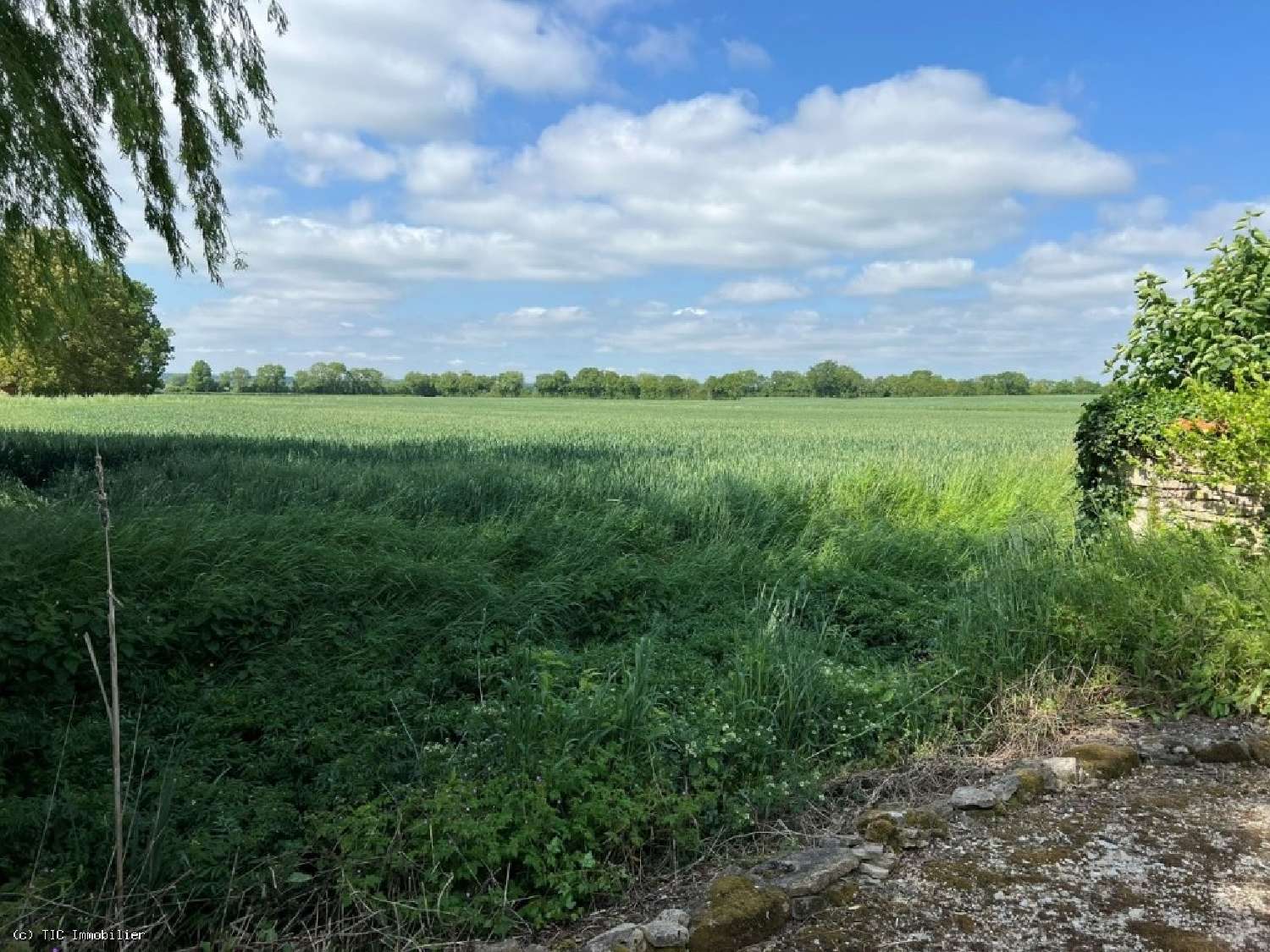  te koop huis Villefagnan Charente 3