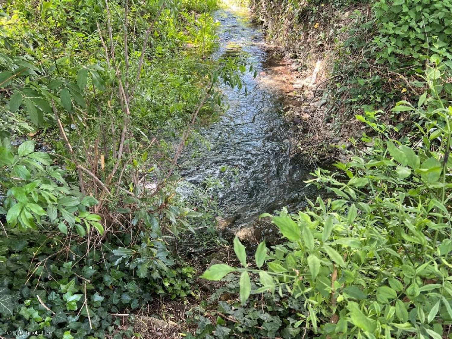  te koop huis Villefagnan Charente 4