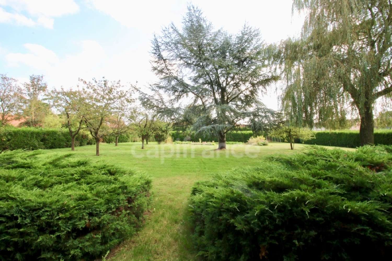 te koop huis Warlaing Nord 7