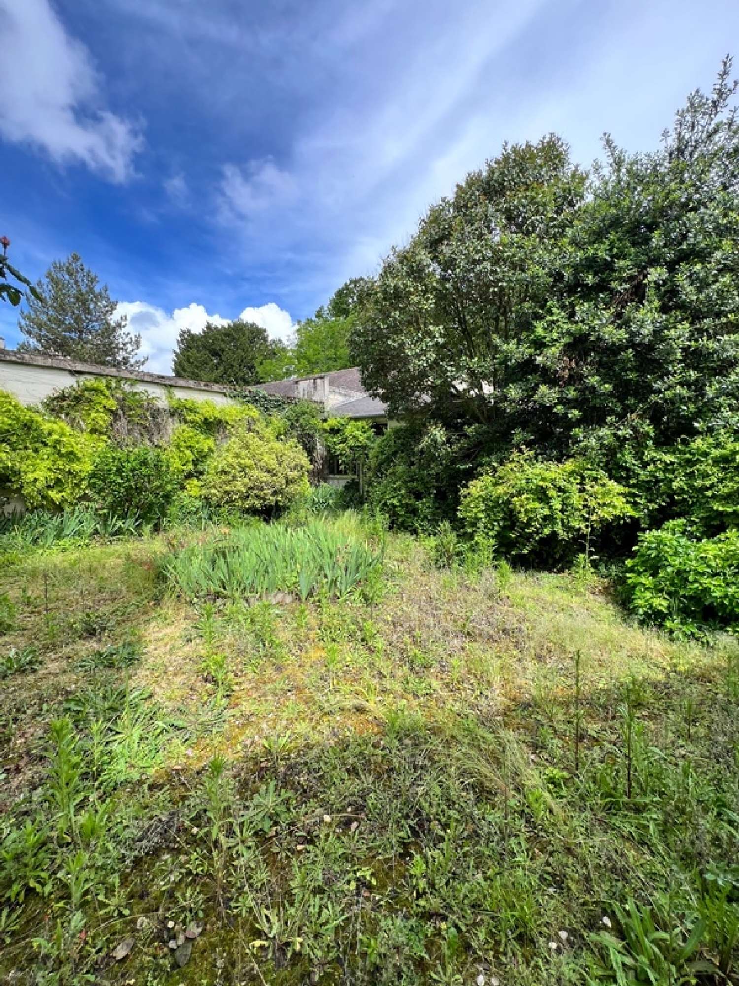 te koop herenhuis Châtellerault Vienne 5