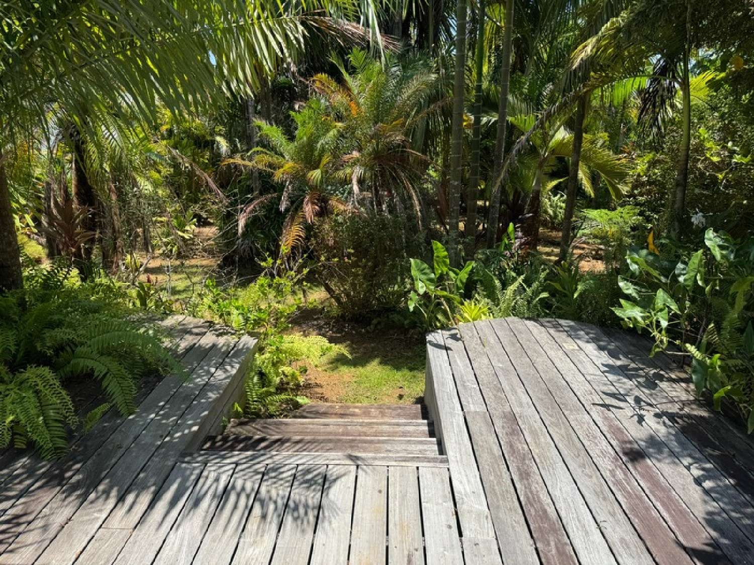  te koop herenhuis Remire-Montjoly Guyane 8