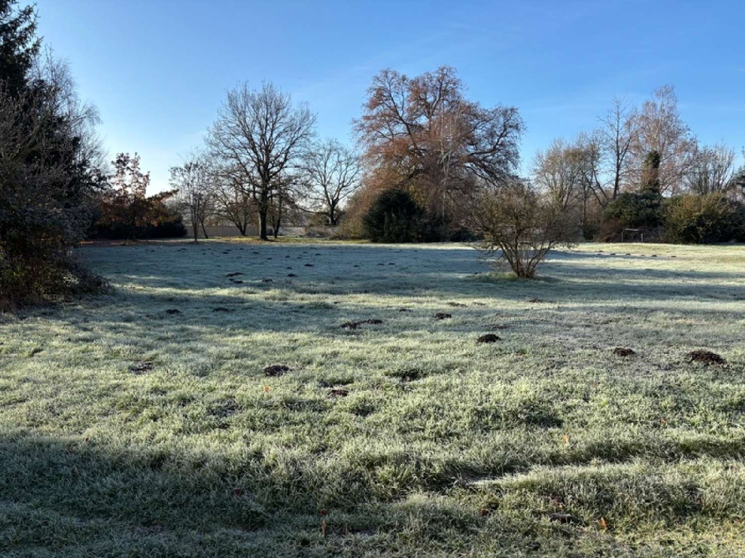  kaufen Bürgerhaus Sommerviller Meurthe-et-Moselle 2