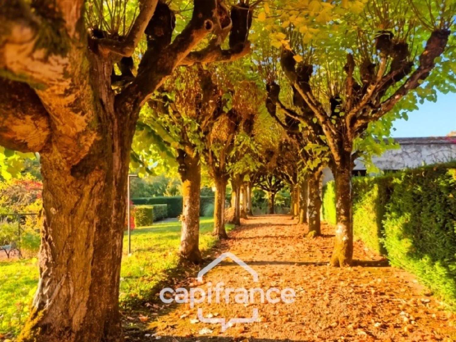  for sale mansion Trôo Loir-et-Cher 8