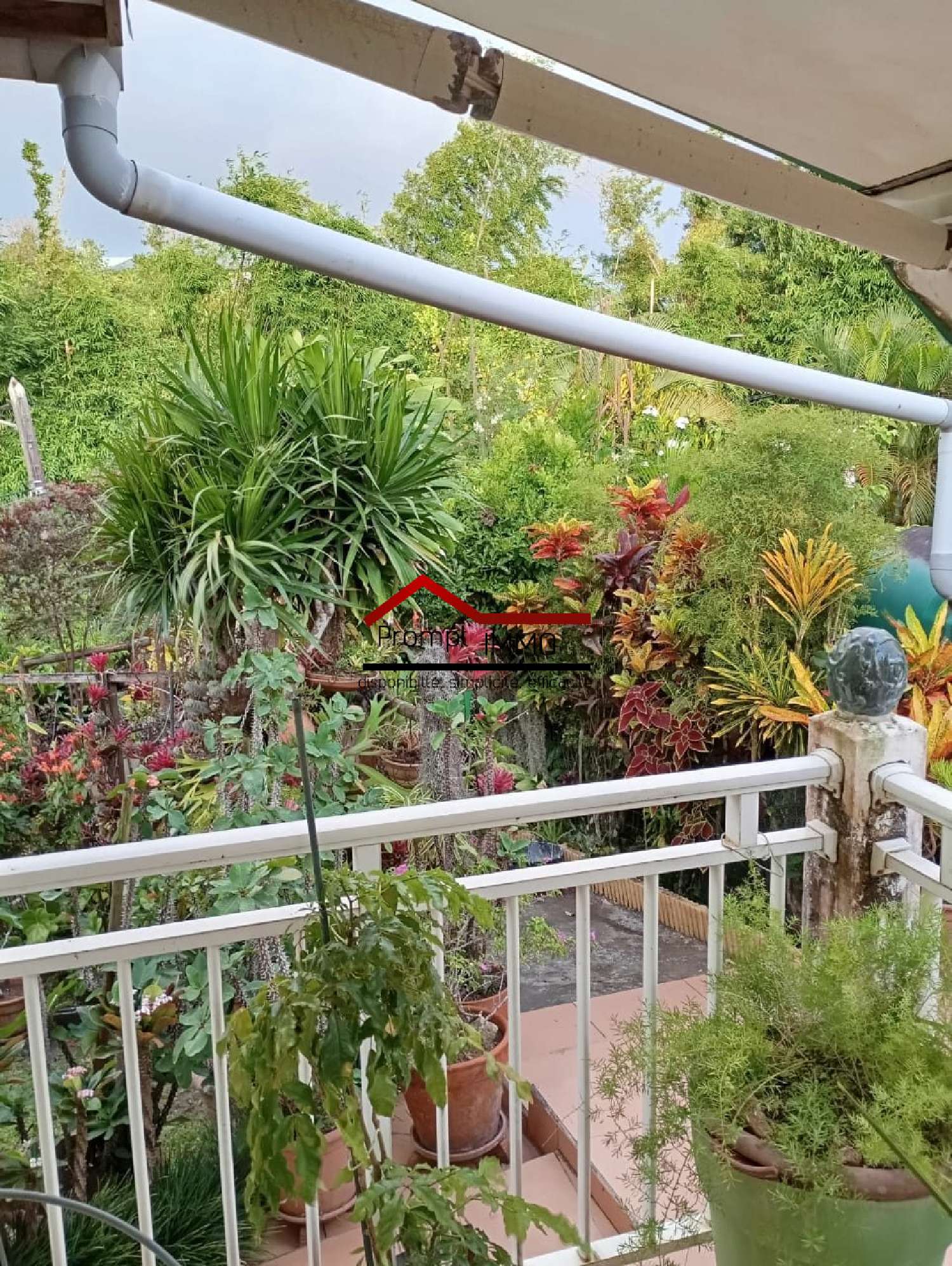 te koop kantoor Fort-de-France Martinique 1