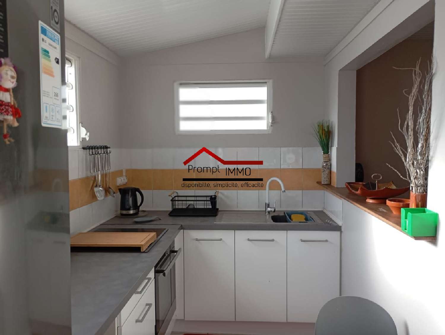 te koop kantoor Fort-de-France Martinique 2