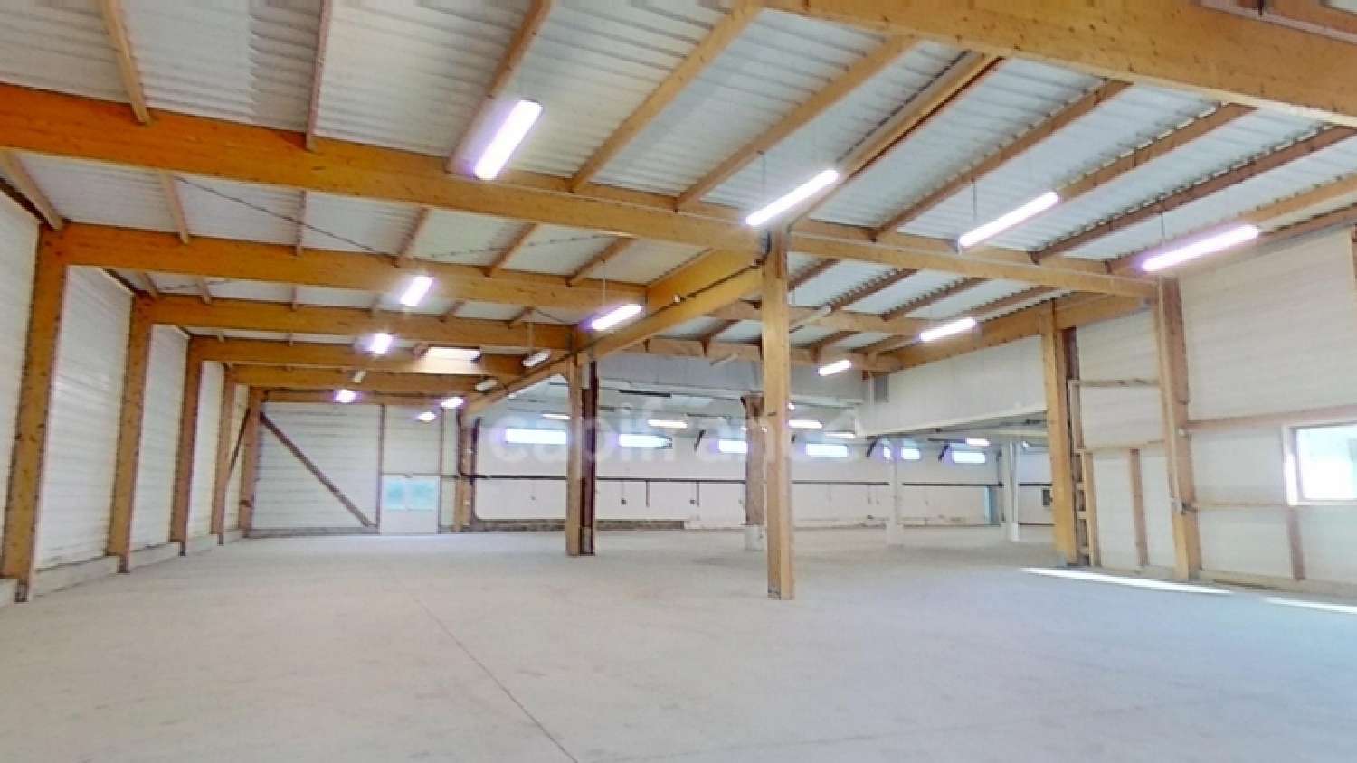 te koop kantoor Guingamp Côtes-d'Armor 8