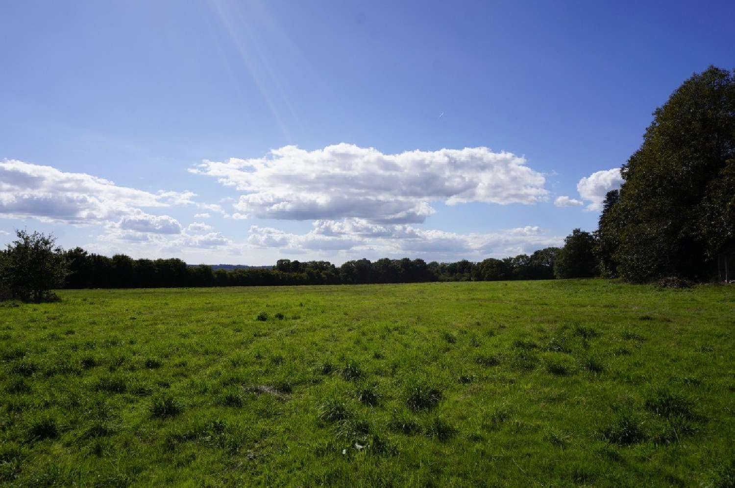  te koop kantoor Saint-Caradec-Trégomel Morbihan 3