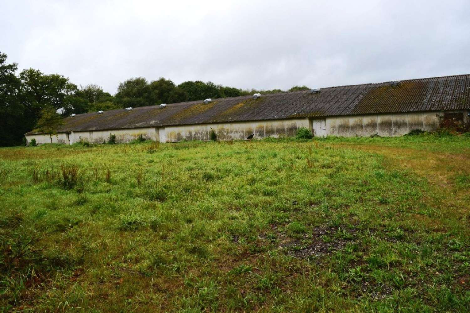  te koop kantoor Saint-Caradec-Trégomel Morbihan 4