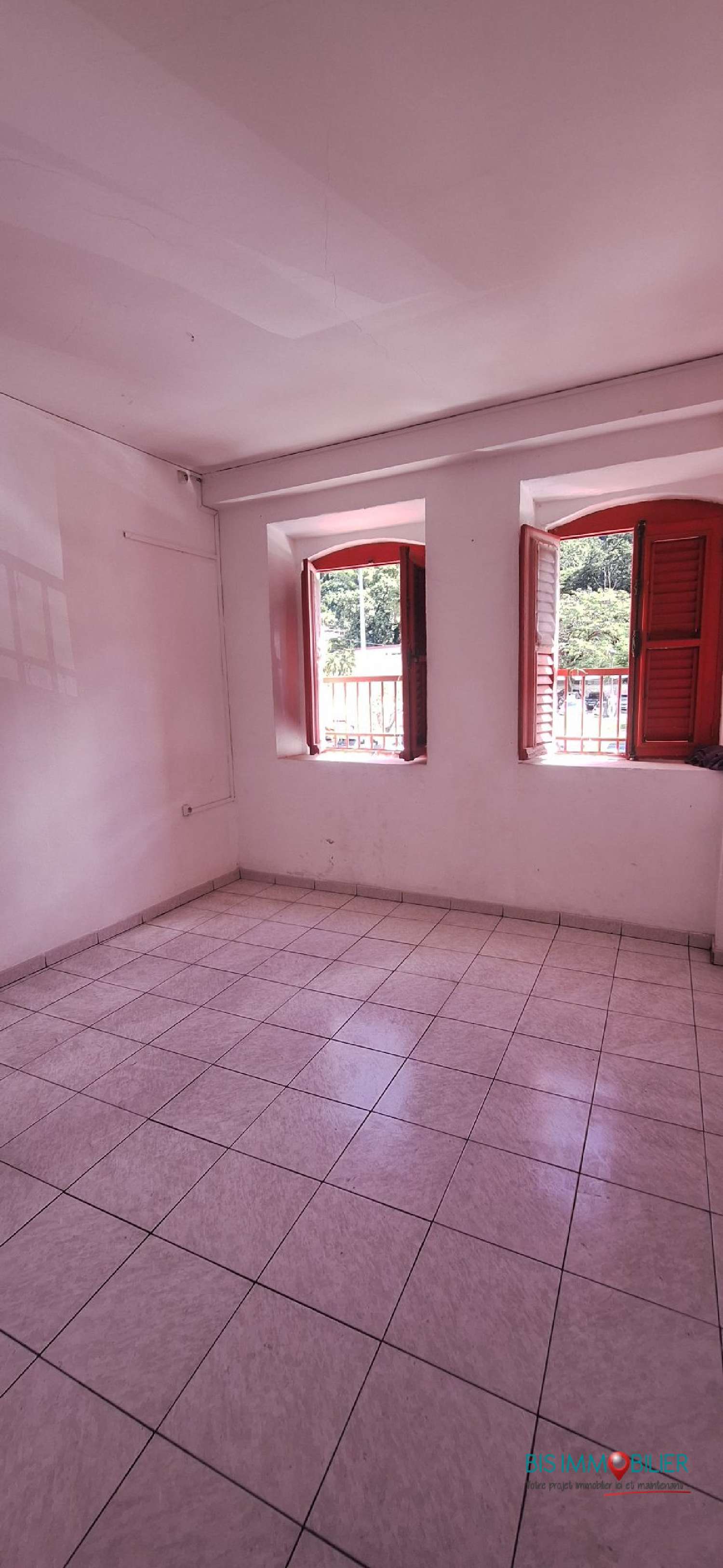 te koop kantoor Saint-Pierre Martinique 4