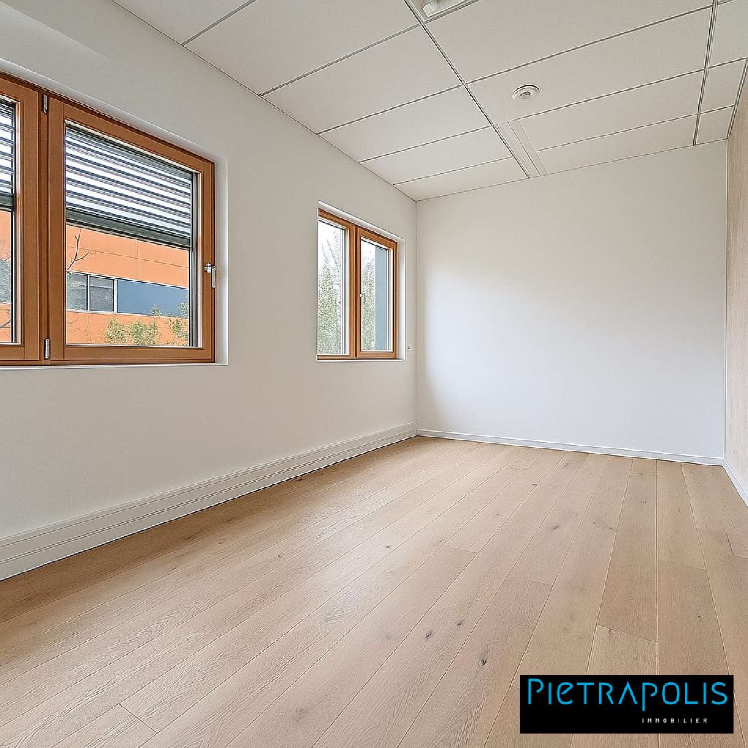 for sale office Saint-Priest Rhône 3