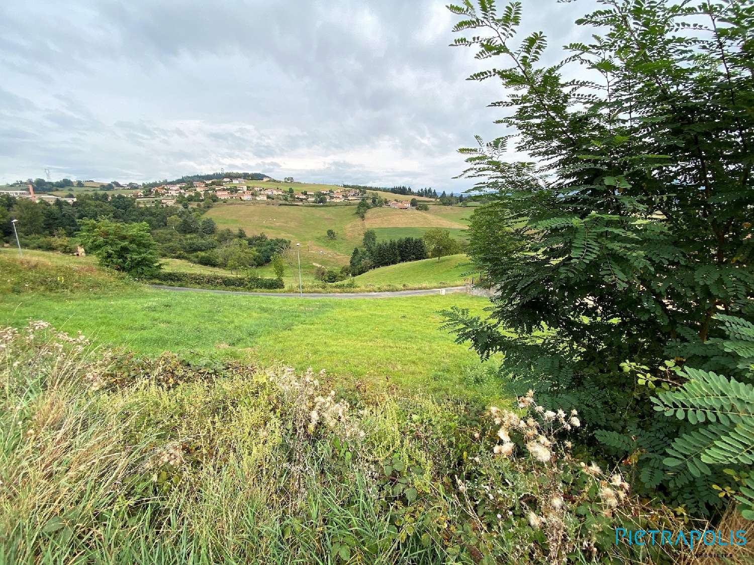 for sale terrain Amplepuis Rhône 2