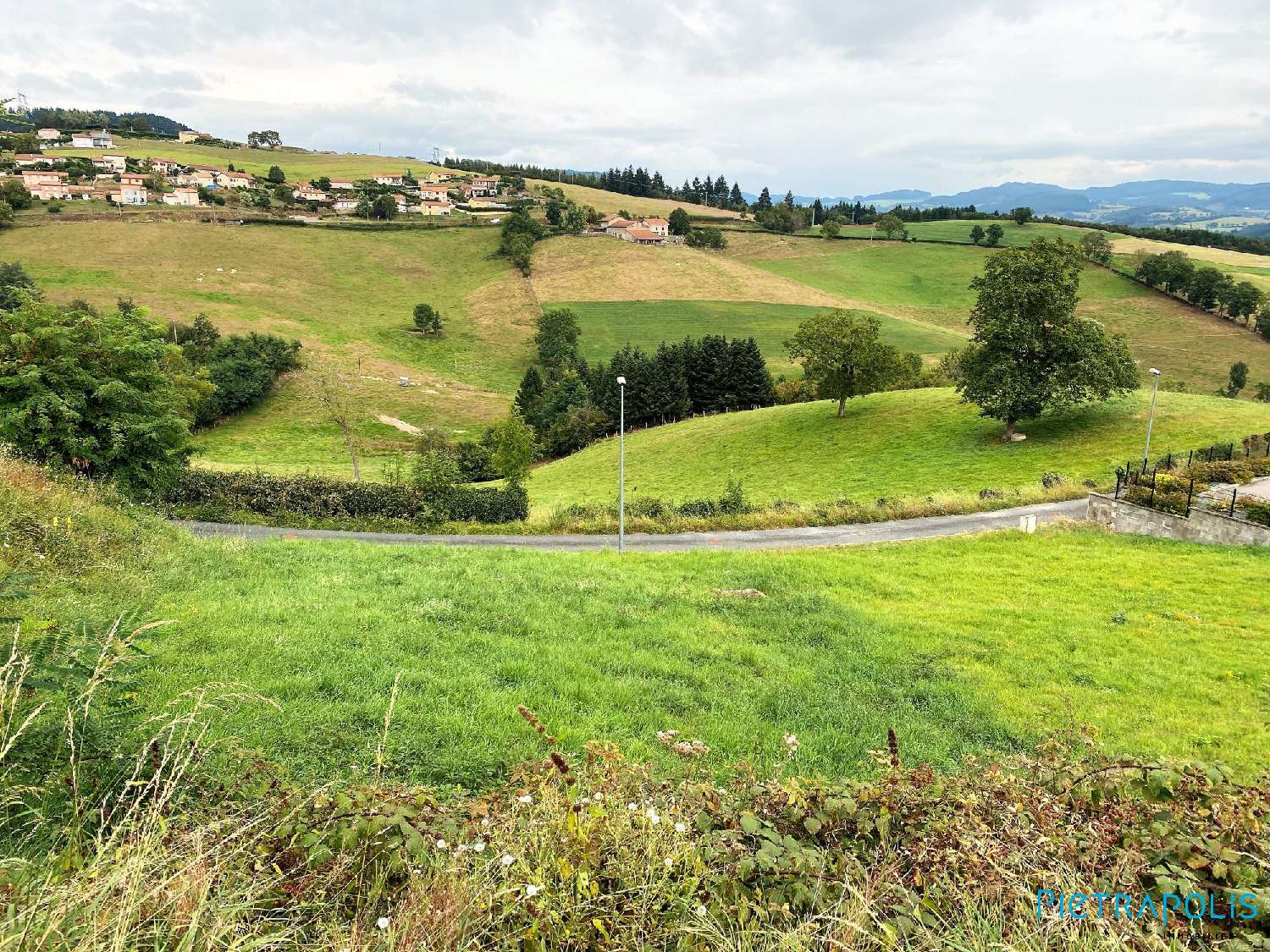 for sale terrain Amplepuis Rhône 4