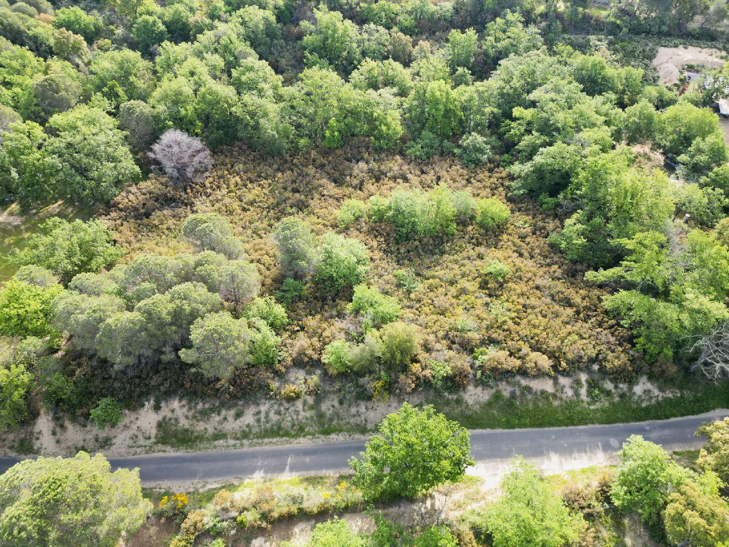 à vendre terrain Argelès-sur-Mer Pyrénées-Orientales 1
