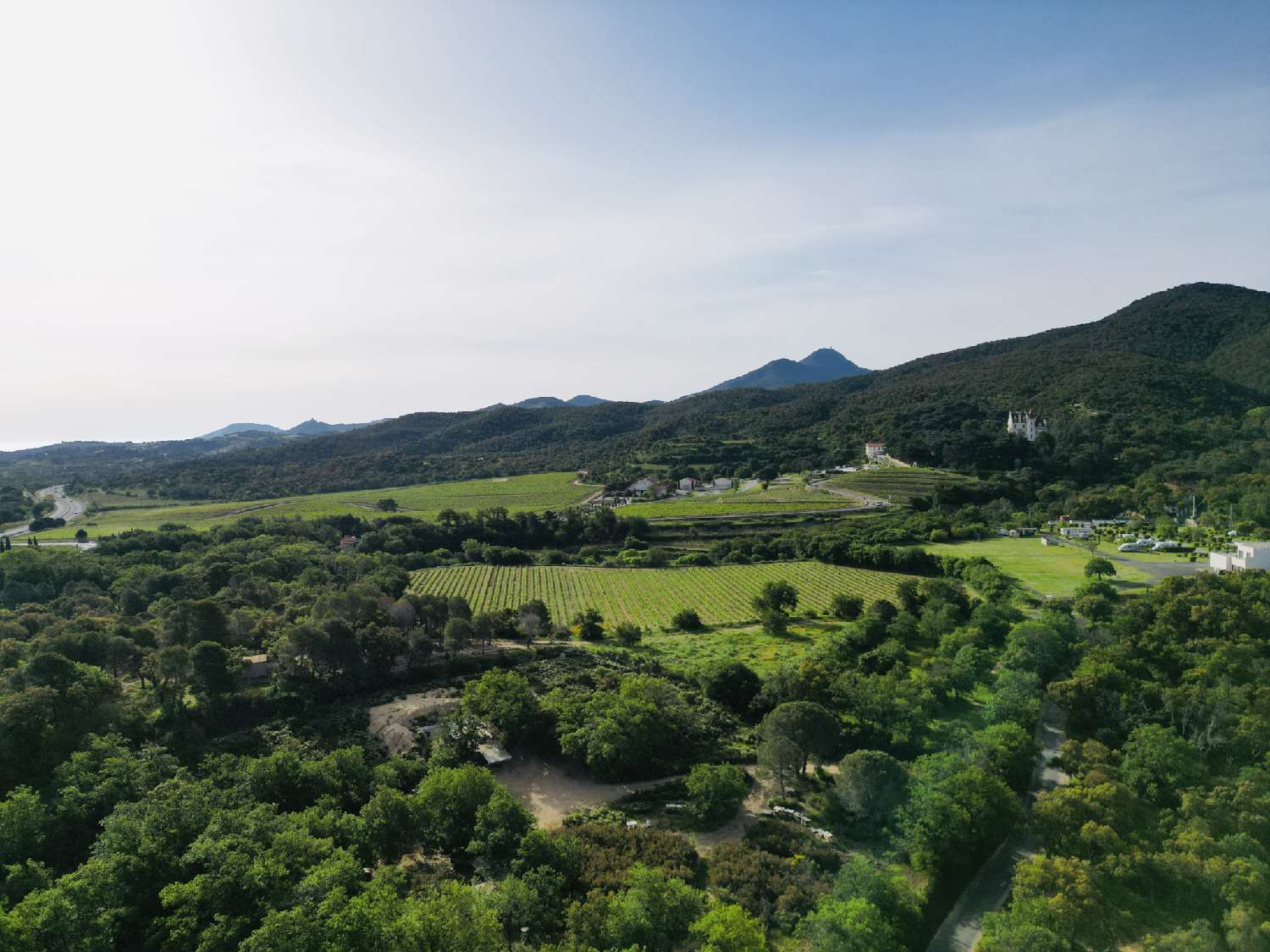 à vendre terrain Argelès-sur-Mer Pyrénées-Orientales 2