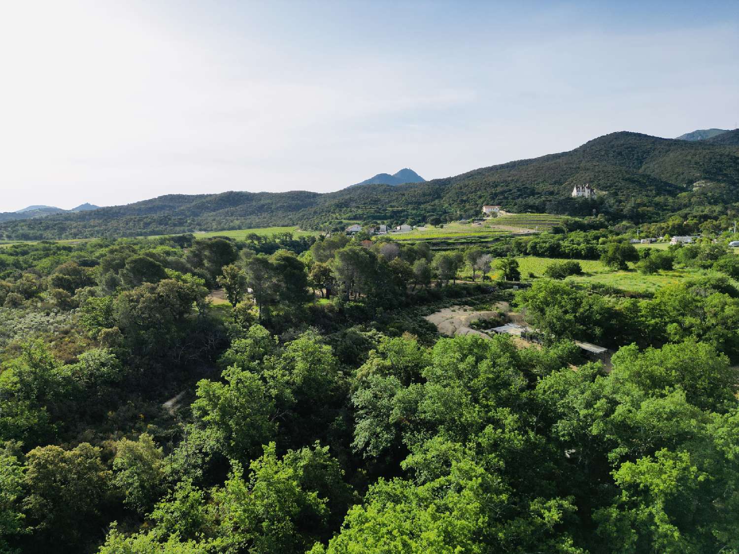 à vendre terrain Argelès-sur-Mer Pyrénées-Orientales 3