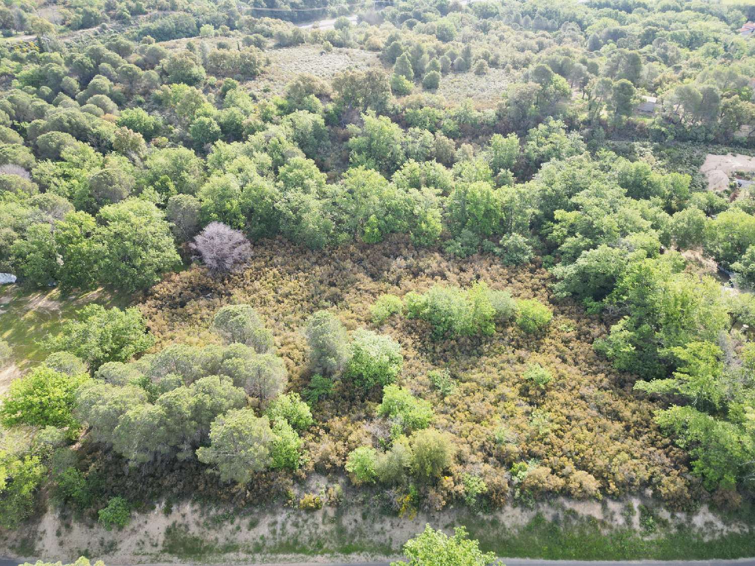 à vendre terrain Argelès-sur-Mer Pyrénées-Orientales 4
