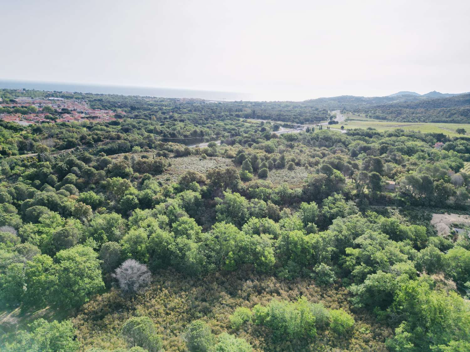 à vendre terrain Argelès-sur-Mer Pyrénées-Orientales 5