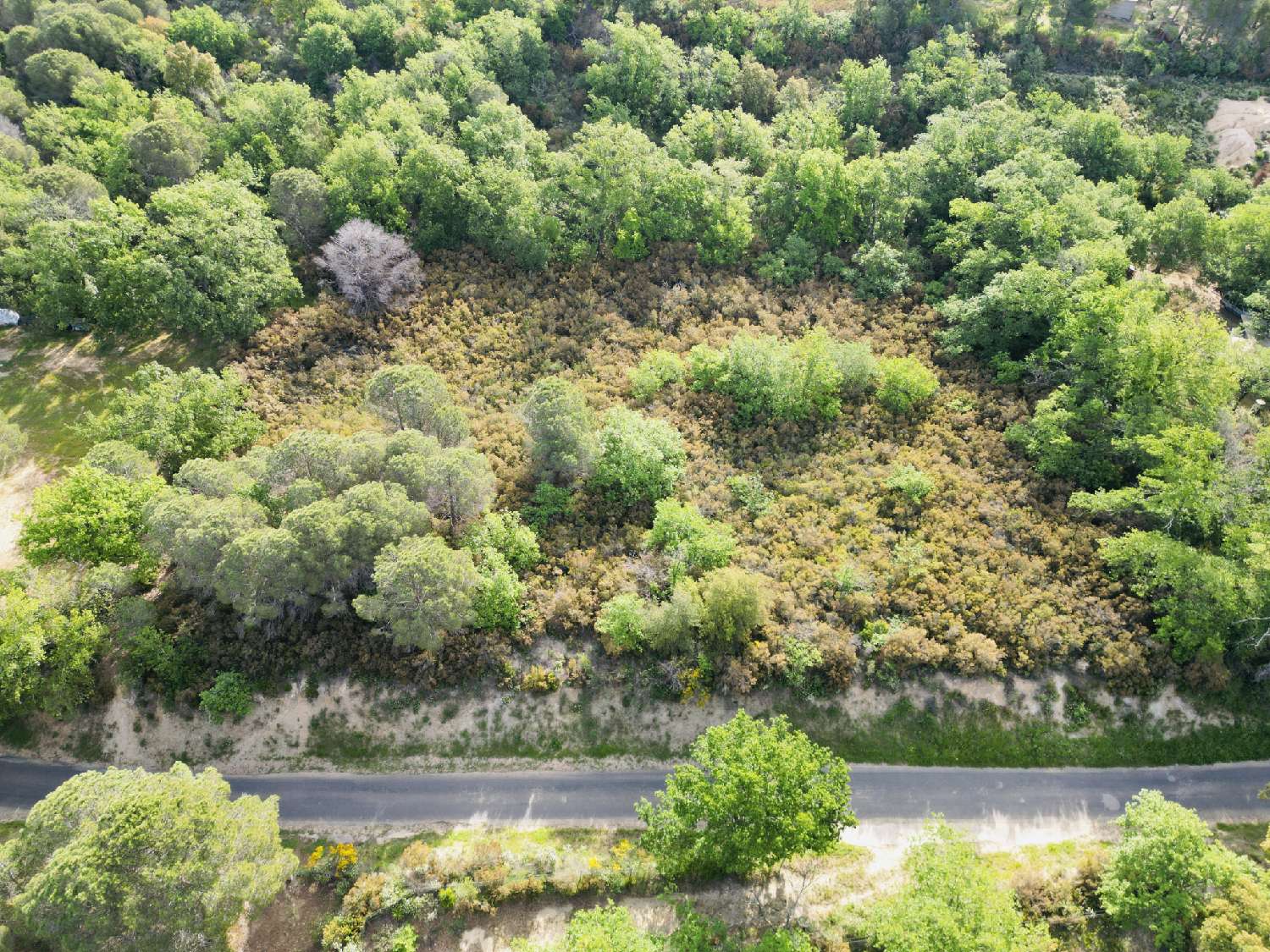 à vendre terrain Argelès-sur-Mer Pyrénées-Orientales 6