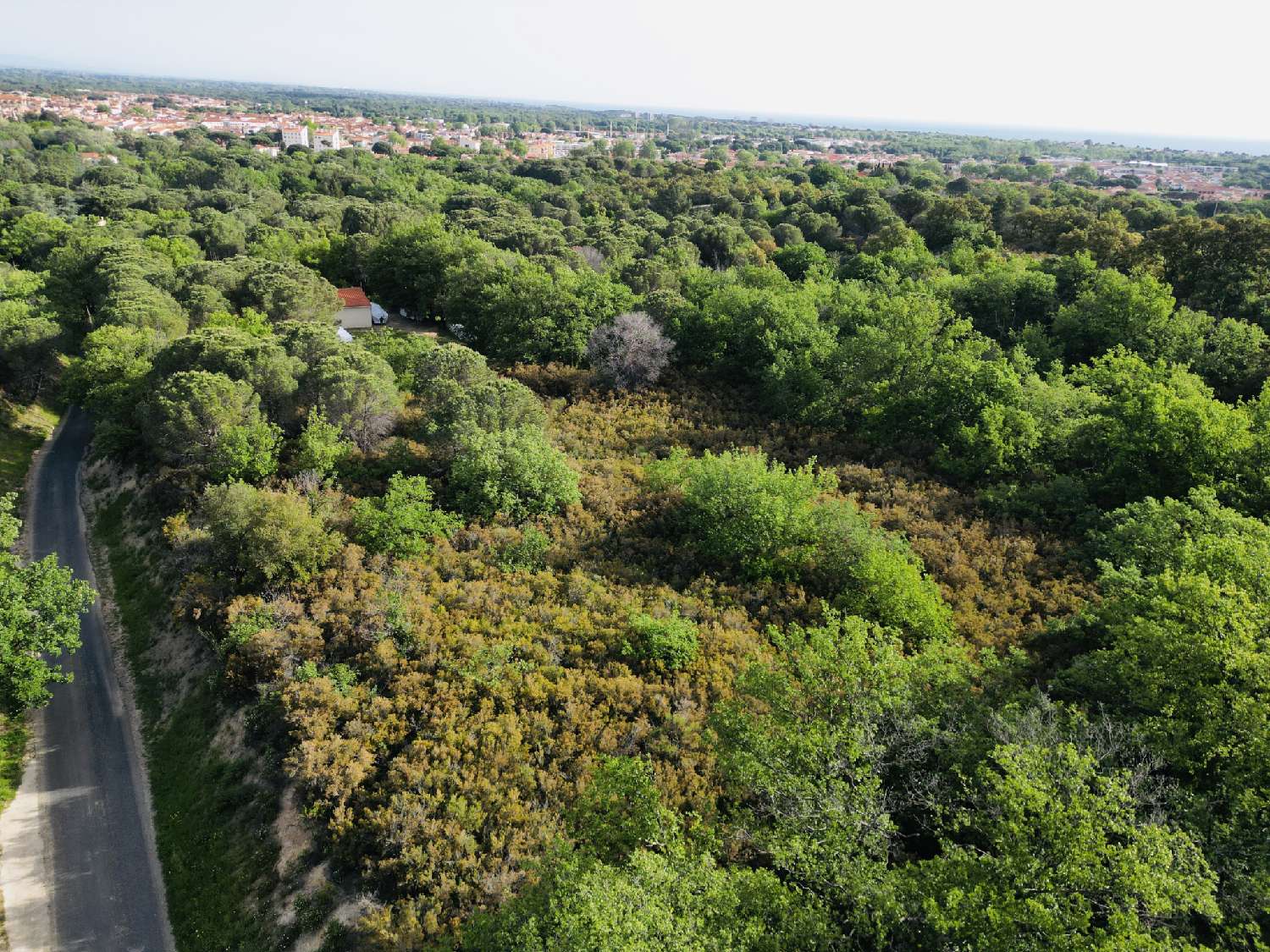 à vendre terrain Argelès-sur-Mer Pyrénées-Orientales 7